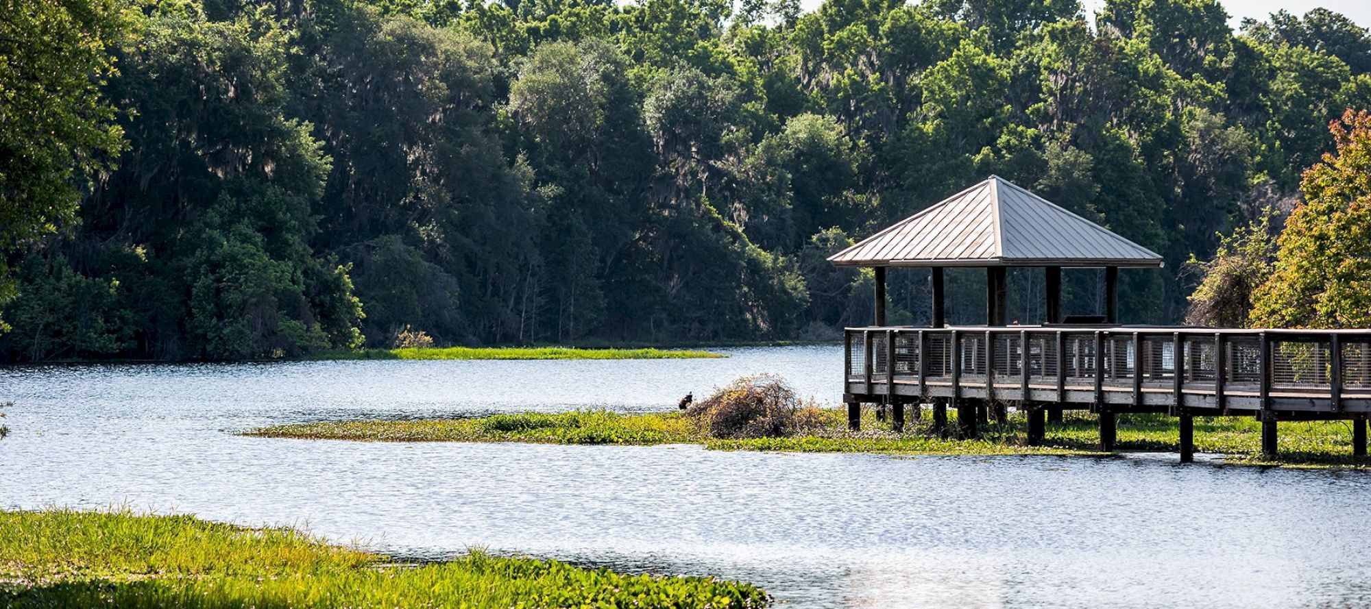 A serene lake with a wooden gazebo and boardwalk extending over the water, surrounded by lush, green trees and vegetation.