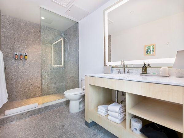 The image shows a modern bathroom with a walk-in shower, toilet, large mirror over the vanity sink, and neatly arranged shelves with towels and toiletries.