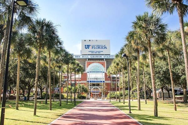 The image shows the entrance to Ben Hill Griffin Stadium at the University of Florida, framed by palm trees and a walkway.