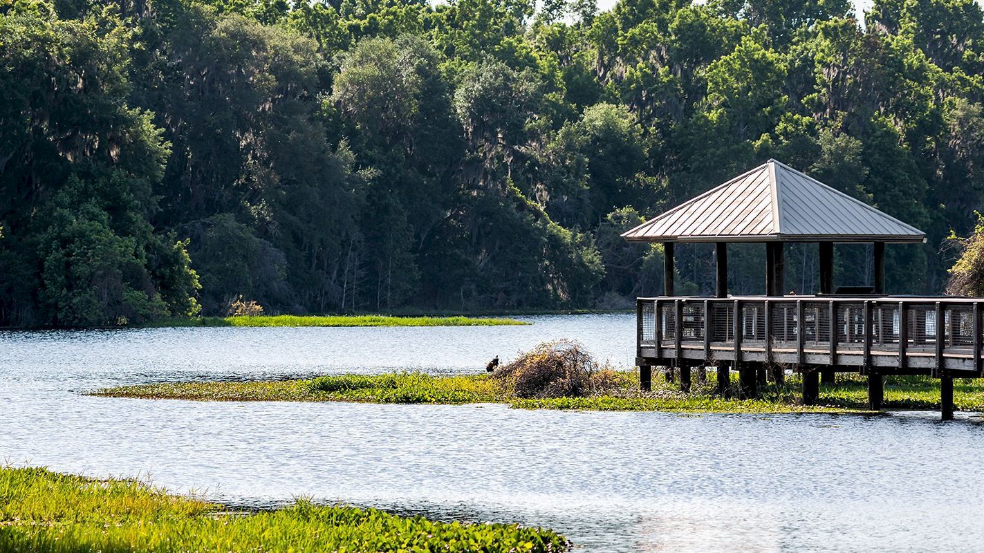 A wooden gazebo on a pier extends over a tranquil body of water, surrounded by lush, green trees under a clear sky.
