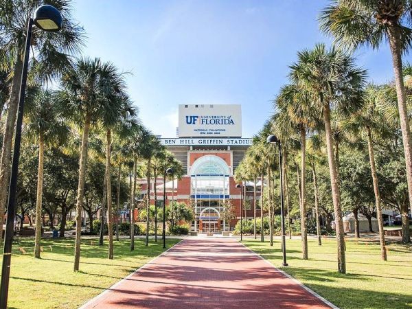 The image shows the entrance to Ben Hill Griffin Stadium at the University of Florida, surrounded by palm trees and a wide, red-brick pathway.