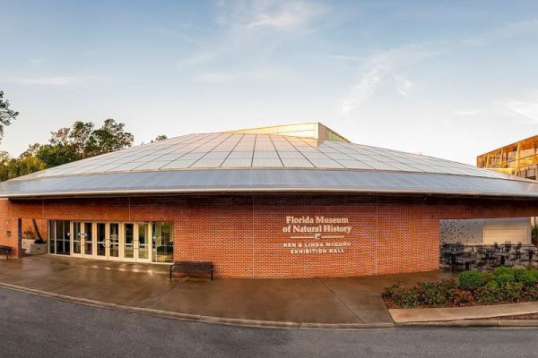 The image shows the Florida Museum of Natural History in Gainesville, Florida, specifically the entrance to the Denny Gallery & Gallery of Reptiles.