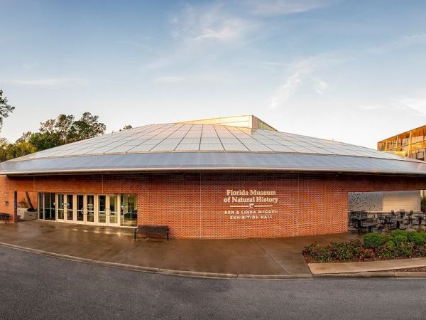 The image shows the Florida Museum of Natural History in Gainesville, Florida, specifically the entrance to the Denny Gallery & Gallery of Reptiles.