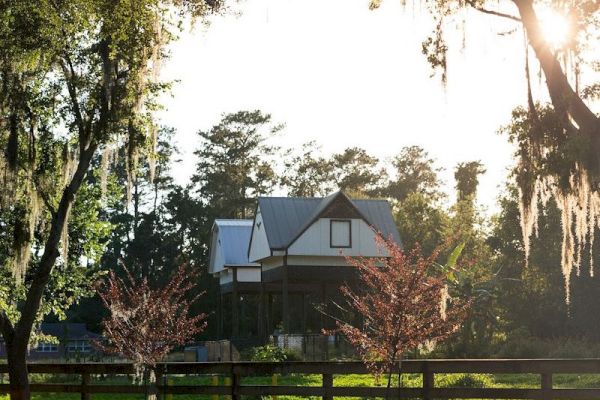 A house with a tin roof is surrounded by trees and a wooden fence, with sunlight filtering through the branches and Spanish moss.