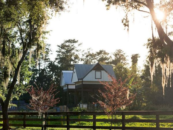 A house with a tin roof is surrounded by trees and a wooden fence, with sunlight filtering through the branches and Spanish moss.