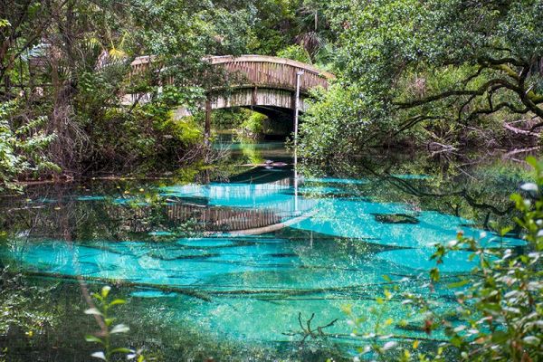 A serene scene featuring a wooden bridge over a clear, turquoise lake surrounded by lush green vegetation and trees, reflecting in the water.