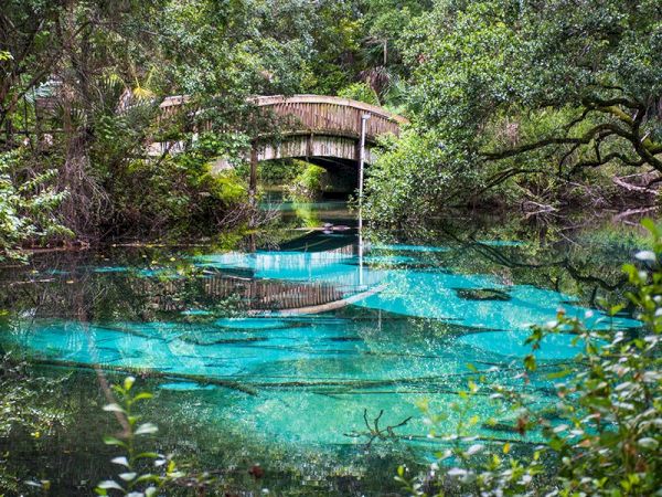 A serene scene featuring a wooden bridge over a clear, turquoise lake surrounded by lush green vegetation and trees, reflecting in the water.