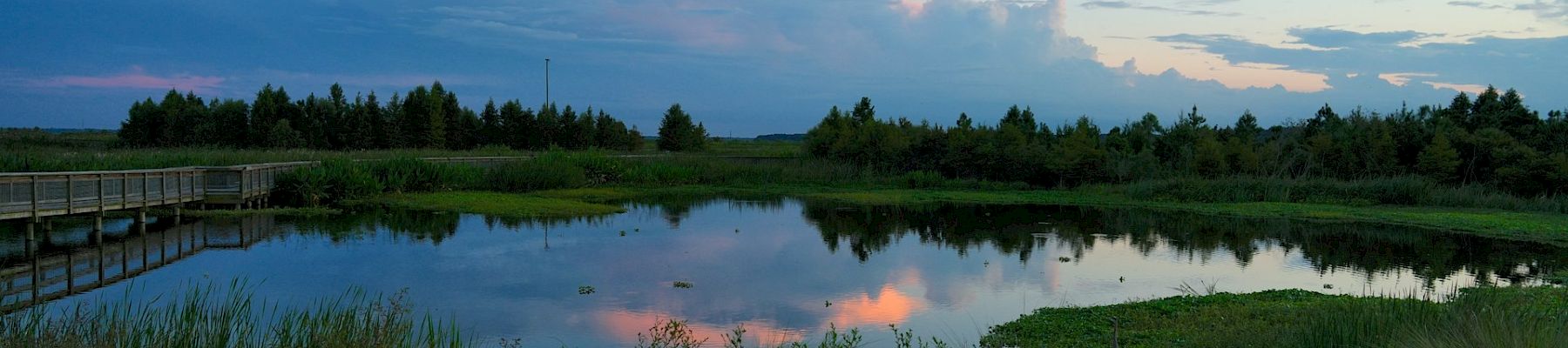 A serene landscape features a calm pond with a wooden walkway, surrounded by grass and trees, reflecting the twilight sky with subtle colors.