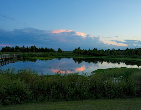 A serene landscape features a calm pond with a wooden walkway, surrounded by grass and trees, reflecting the twilight sky with subtle colors.