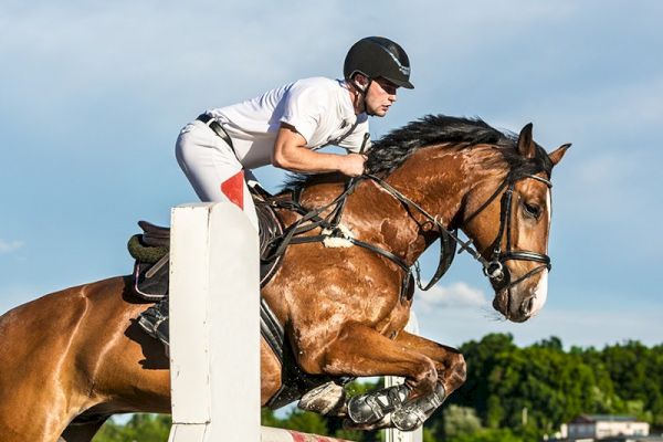 A person riding a brown horse is jumping over an obstacle during an equestrian event, with a green landscape and blue sky in the background.