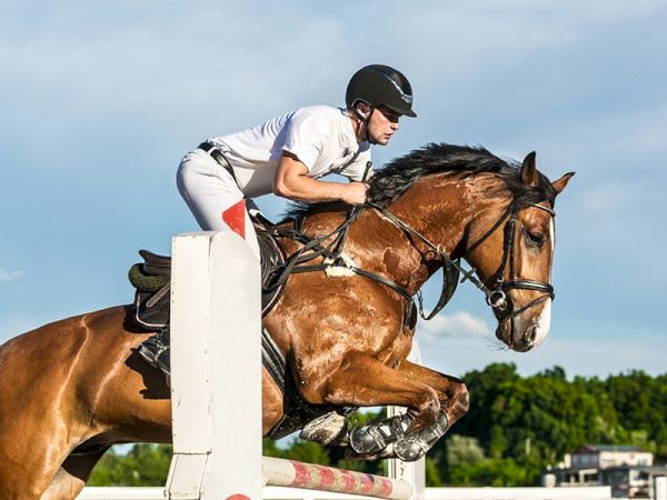 A person riding a brown horse is jumping over an obstacle during an equestrian event, with a green landscape and blue sky in the background.