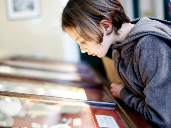 A child wearing a grey hoodie is intently looking at a display case with various items inside.