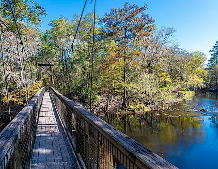 A wooden suspension bridge over a tranquil river, surrounded by lush trees with varying autumn colors under a clear blue sky.