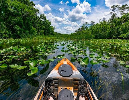 A person in a kayak on a calm water body surrounded by lush green vegetation and lily pads, under a partly cloudy blue sky, ending the sentence.