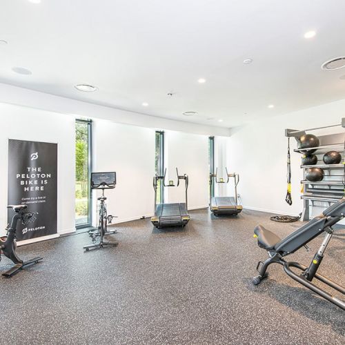 A modern gym with exercise bikes, treadmills, weight racks, a bench, and fitness equipment, banners and bright windows providing natural light.