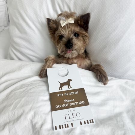 A small tortoiseshell cat peeks up from a white blanket beside a book or notebook. Top it at 140 characters, always ending the sentence.