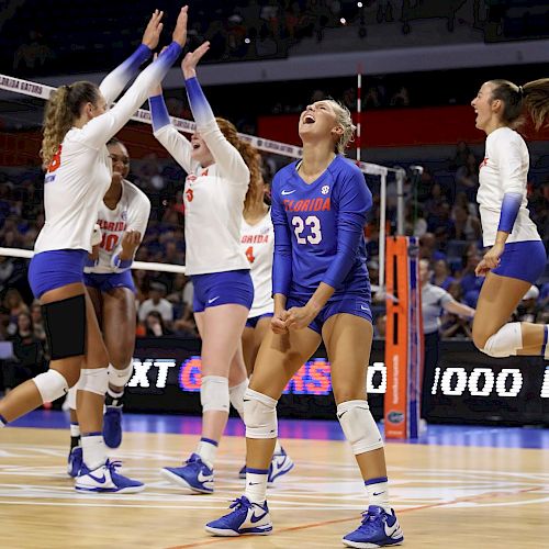 A volleyball team celebrates on the court, with players high-fiving and jumping in excitement. One player appears to be yelling in triumph.