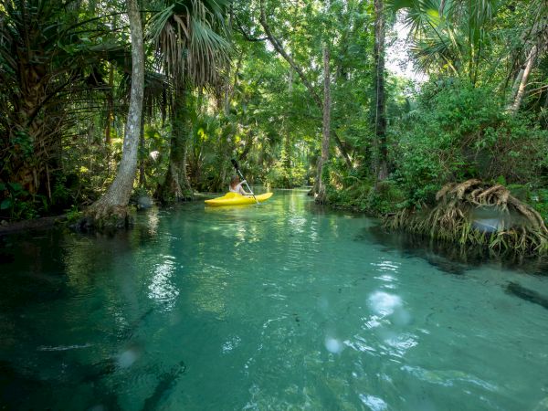 A person in a yellow kayak paddles through a lush, tropical river surrounded by dense greenery and clear turquoise water.