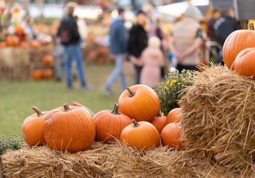 Pumpkins stacked on hay bales with people in the background at a fall festival or market.