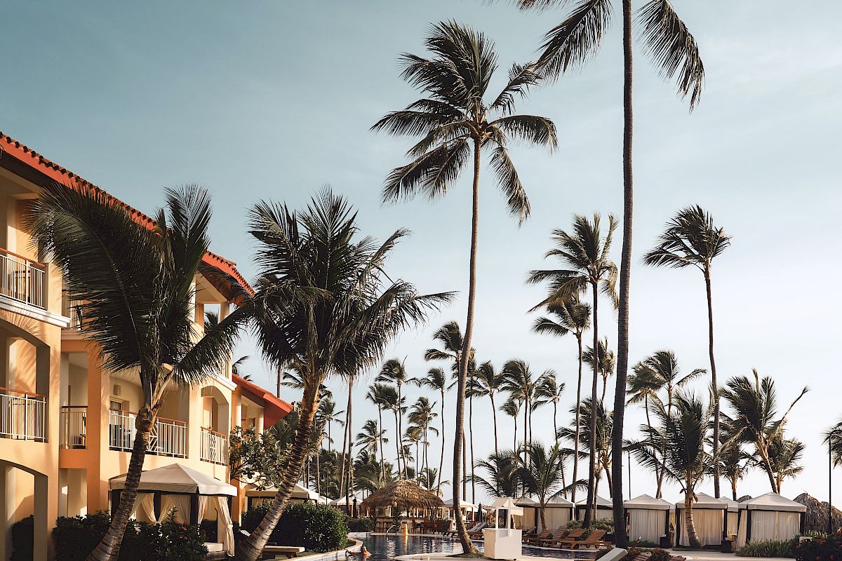 The image shows a resort with a swimming pool surrounded by lounge chairs and tall palm trees under a clear sky, giving a tropical and serene vibe.